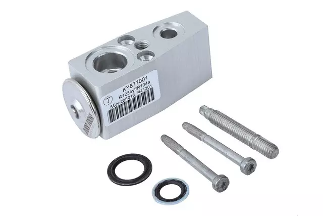 Air Conditioning Thermal Expansion Valve Kit with Tube Seals, Valve, Stud, and Bolts - GM (84400227)