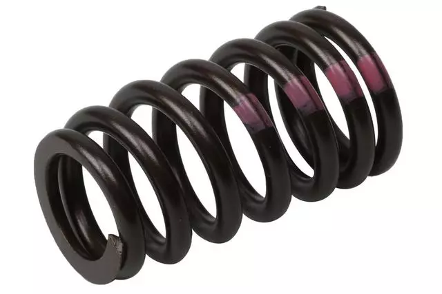 55571551 - : Engine Valve Spring for ACDelco Image