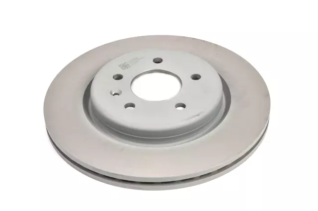 13595819 - Brakes: Rear Disc Brake Rotor for Buick: Regal Sportback Image