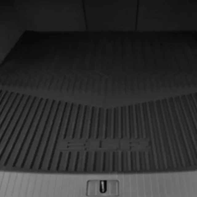 Cargo Area Mat, Premium All Weather - GM (22938052)