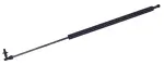 610293 - : Liftgate Lift Support for Tuff Support Image