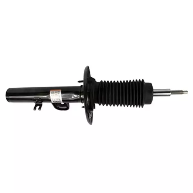 Shock Absorber Assembly - Front - Ford (AST-429)