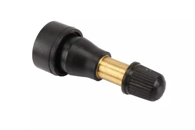 Tire Valve Stem - GM (9593595)