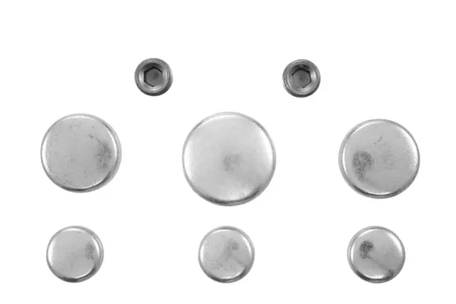 PE254 - Engines &amp; Components: Pioneer Automotive Industries Engine Expansion Plug Kit for Pioneer Auto Image