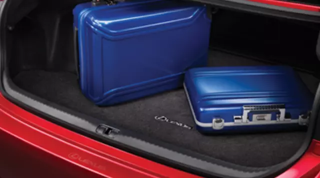 Carpet Trunk Mat - Black - Lexus (PT206-24150-20)