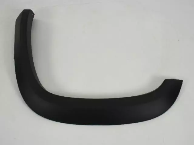 Molding - Mopar (1EM13RXFAD)
