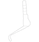 2534760036 - : Holder for Mercedes-Benz Image