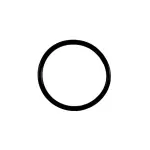 73593 - : Engine Oil Pump Pickup Tube O-Ring for FEL-PRO Image