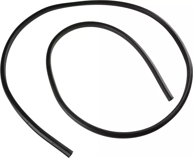 769249DJ1A - Body: Weather-Strip On Body for Nissan: Maxima Image