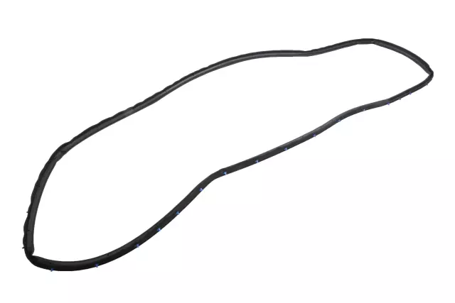 Door Weather-Strip - GM (84679406)