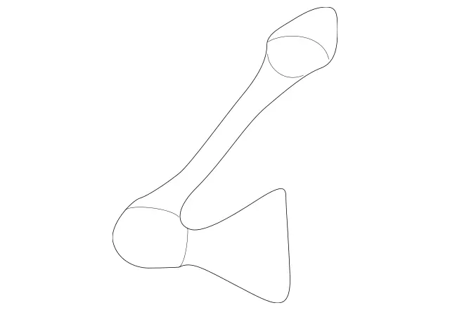 69882878 - Attachment Parts: Grab Strap for Mercedes-Benz: 300SD, 400SE, 400SEL, 500SEC, 500SEL, 600SEL, C220, C230, E420, E430, S420 Image image