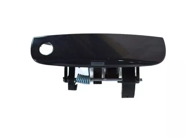 1MZ85KARAM - Doors, Door Mirrors and Related Parts: Front Door Exterior Handle, Left for Dodge: Challenger, Charger Image