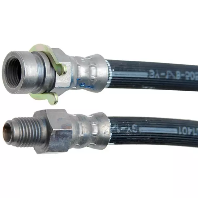 Hose - GM (19174736)