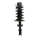 816654 - : PRT 816654 Suspension Strut and Coil Spring Assembly for PRT PERFORMANCE RIDE Image