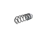68370566AB - Rear Suspension: Rear Coil Spring, Left for Mopar Image