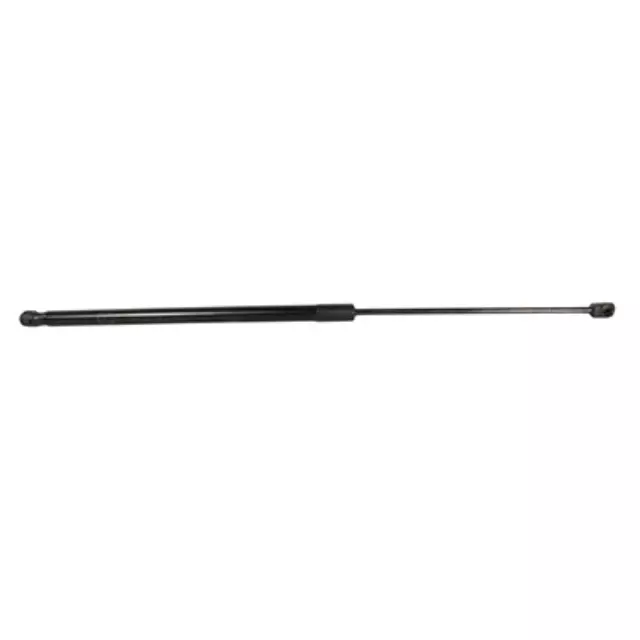 2013-2018 Ford C-Max - Lift Cylinder - Ford (AM5Z-58406A10-A)