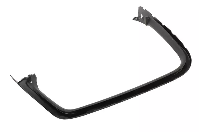 Driver Side Door Window Garnish Molding - GM (22896073)