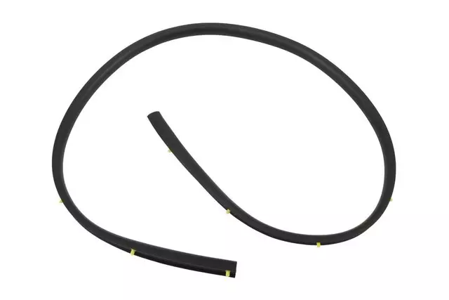 Passenger Side Center Pillar Lower Weatherstrip - GM (10372800)