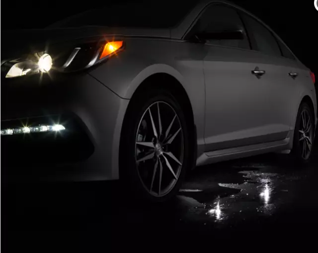 C2067ADU00 - Exterior: Lighting - Puddle for Hyundai Image