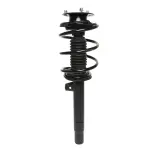 815906 - : PRT 815906 Suspension Strut and Coil Spring Assembly for PRT PERFORMANCE RIDE Image