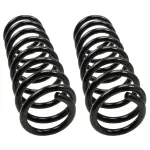 81683 - : Coil Spring Set for Moog Image