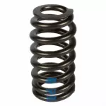CR3Z6513A - : Valve Springs for Ford: F-150, Mustang Image