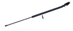 611288 - : Liftgate Lift Support for Tuff Support Image