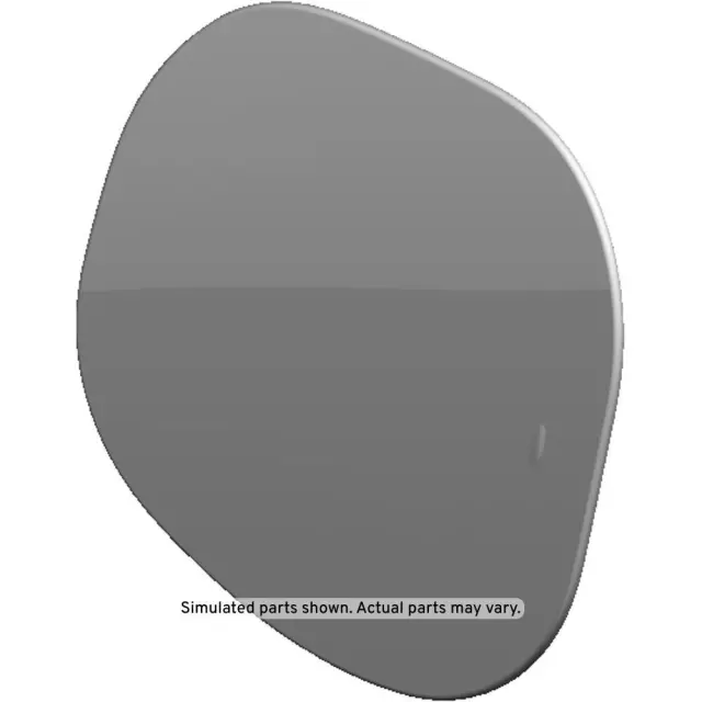 Door - GM (42751688)
