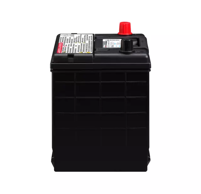 Battery - ACDelco (121RSA)