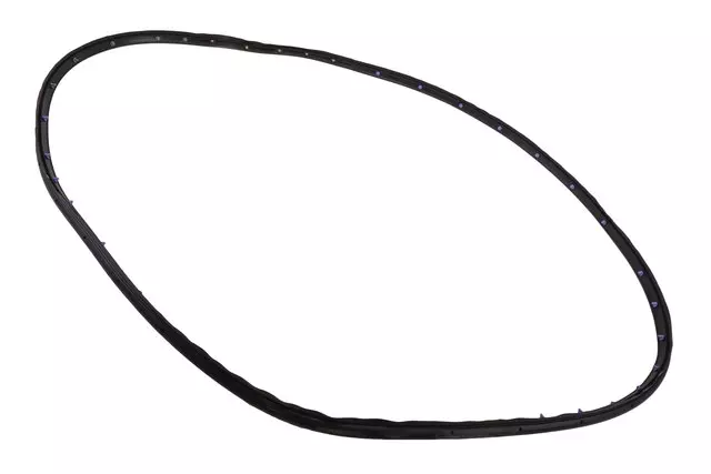 84028331 - Body: Door Weather-strip for Cadillac: CT5 Image