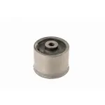K202043 - : Suspension Trailing Arm Bushing for Moog Image