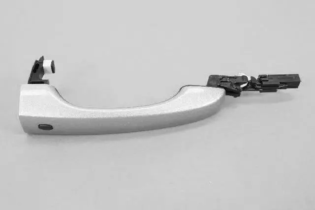 Exterior Door Handle - Mopar (1RH64JSCAE)