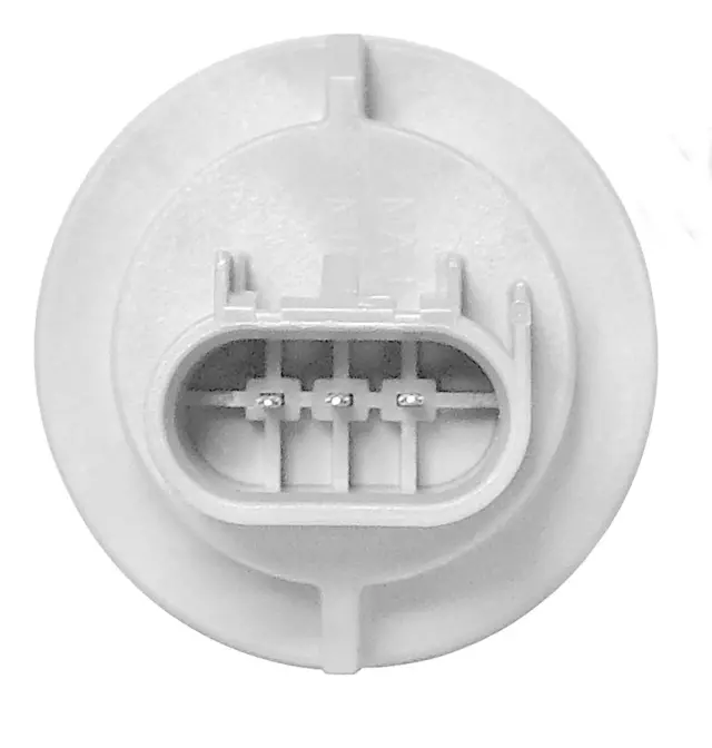 12335631 - : Socket for Buick: Rainier | Chevrolet: Trailblazer, Trailblazer EXT Image