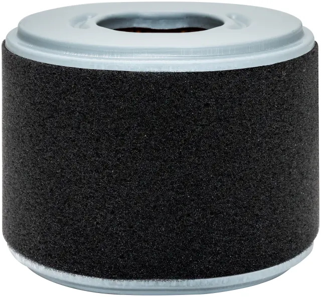 PA4552 - : Oval Air Element with Foam Wrap for Baldwin Image