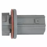 6E5Z13411AA - Electrical: Socket for Ford: Fusion | Lincoln: MKZ, Zephyr Image