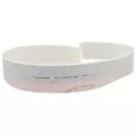 GL3Z9942604BA - Body: Stripe for Ford: F-150 Image