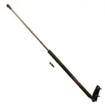 TSG223009 - : TRW-Lift Support for TRW Image