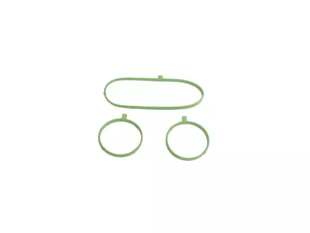 Water Pump Seal Kit - Mopar (68147596AA)