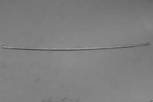 Roof Molding - Mopar (1DZ14DX8AB)