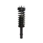 816349 - : PRT 816349 Suspension Strut and Coil Spring Assembly for PRT PERFORMANCE RIDE Image