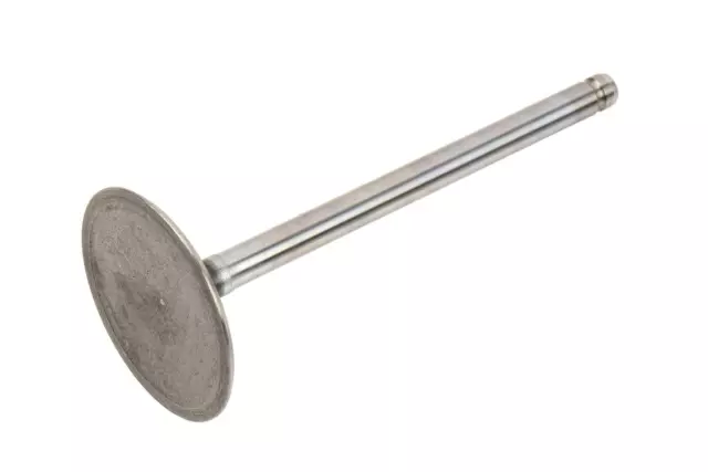 12563063 - Engine: Intake Valve for Buick: LaCrosse, Rainier | Cadillac: CTS, Escalade, Escalade ESV, Escalade EXT | Chevrolet: Avalanche, Camaro, Corvette, Express 1500, Express 2500, Express 3500, Impala, Monte Carlo, Silverado 1500, Silverado 1500 Classic, Silverado 1500 HD, Silverado 1500 HD Classic, Silverado 2500, Silverado 2500 HD, Silverado 2500 HD Classic, Silverado 3500, Silverado 3500 Classic, SSR, Suburban 1500, Suburban 2500, Tahoe, Trailblazer, Trailblazer EXT | GMC: Envoy, Envoy XL, Envoy XUV, Savana 1500, Savana 2500, Savana 3500, Sierra 1500, Sierra 1500 Classic, Sierra 1500 HD, Sierra 1500 HD Classic, Sierra 2500, Sierra 2500 HD, Sierra 2500 HD Classic, Sierra 3500, Sierra 3500 Classic, Yukon, Yukon XL 1500, Yukon XL 2500 | Hummer: H2, H3 | Pontiac: Firebird, Grand Prix, GTO Image image