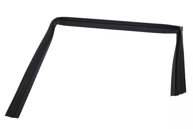 Part# 92256498 Side Door Window Weatherstrip - GM (92256498)