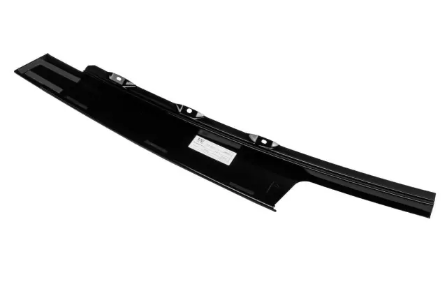 Jet Black Front Driver Side Door Window Molding - GM (22856053)