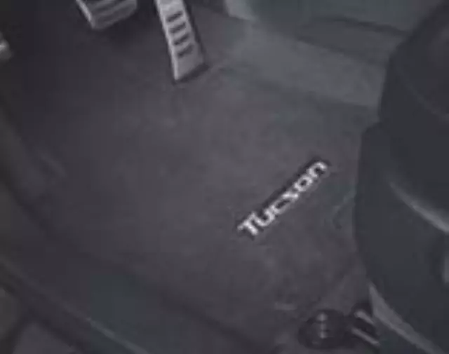 Floor Mats, Carpet - Hyundai (2SF14-AB000-9P)