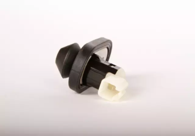 Jamb Switch - GM (94857226)