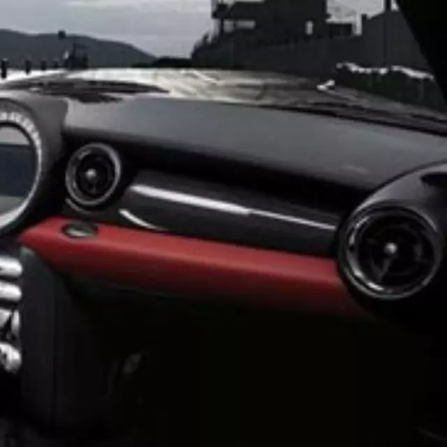 51450417909 - Body: Trim Panel for Mini Image