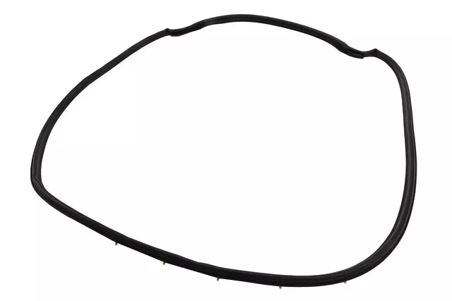 Rear Passenger Side Door Weatherstrip - GM (42541955)