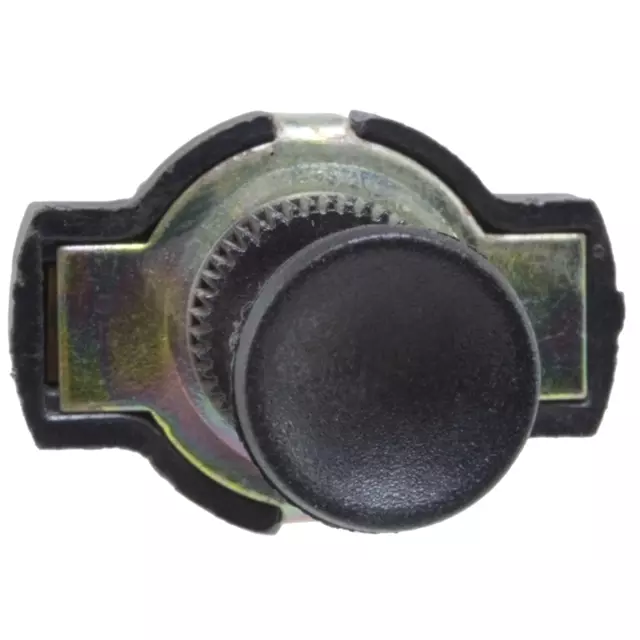 Switch - GM (88924564)