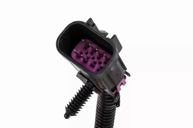 Rear License Plate Lamp Wiring Harness - GM (10363788)