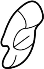 878444W902 - : Adjuster Cover for Infiniti Image